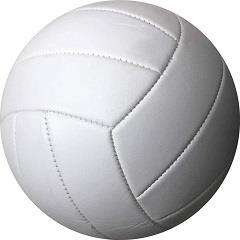 Picture of a volleyball